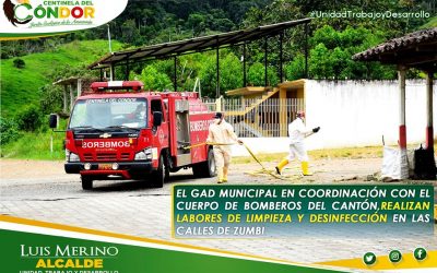 SE REALIZAN LABORES DE LIMPIEZA Y DESINFECCIÓN EN LAS CALLES DE ZUMBI