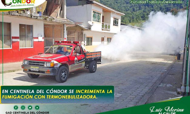 EN CENTINELA DEL CÓNDOR SE INCREMENTA LA FUMIGACIÓN CON TERMONEBULIZADORA