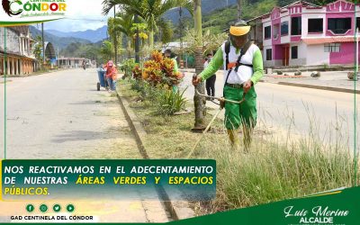 NOS REACTIVAMOS EN EL ADECENTAMIENTO DE NUESTRAS ÁREAS VERDES Y ESPACIOS PÚBLICOS.