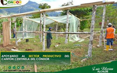 APOYANDO AL SECTOR PRODUCTIVO DEL CANTÓN CENTINELA DEL CÓNDOR.
