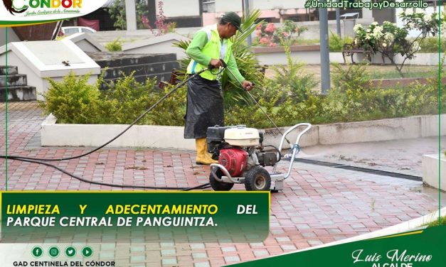 LIMPIEZA Y ADECENTAMIENTO DEL PARQUE CENTRAL DE PANGUINTZA.
