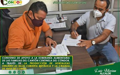 APOYO A LA SOBERANÍA ALIMENTARIA DE LAS FAMILIAS DEL CANTÓN CENTINELA DEL CÓNDOR, A TRAVÉS DE LA PRODUCCIÓN DE HORTALIZAS BAJO CUBIERTA