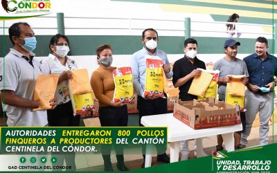 AUTORIDADES ENTREGARON 800 POLLOS FINQUEROS A PRODUCTORES DEL CANTÓN CENTINELA DEL CÓNDOR.