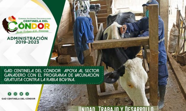 GAD CENTINELA DEL CÓNDOR APOYA AL SECTOR GANADERO CON EL PROGRAMA DE VACUNACIÓN GRATUITA CONTRA LA RABIA BOVINA.