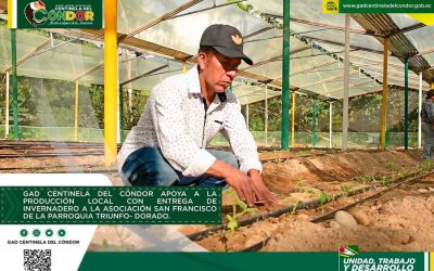 GAD CENTINELA DEL CÓNDOR APOYA A LA PRODUCCIÓN LOCAL CON ENTREGA DE INVERNADERO A LA ASOCIACIÓN SAN FRANCISCO DE LA PARROQUIA TRIUNFO-DORADO.