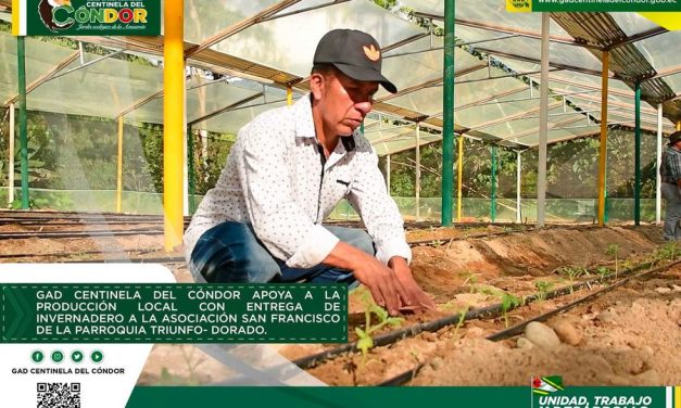 GAD CENTINELA DEL CÓNDOR APOYA A LA PRODUCCIÓN LOCAL CON ENTREGA DE INVERNADERO A LA ASOCIACIÓN SAN FRANCISCO DE LA PARROQUIA TRIUNFO-DORADO.