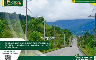 TRABAJOS DE ALUMBRADO PÚBLICO EN LA TRONCAL AMAZÓNICA AVANZAN A SU ETAPA FINAL.
