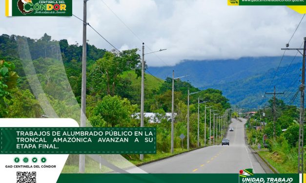 TRABAJOS DE ALUMBRADO PÚBLICO EN LA TRONCAL AMAZÓNICA AVANZAN A SU ETAPA FINAL.