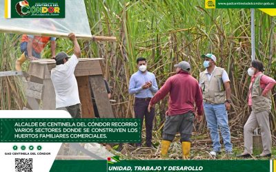 ALCALDE DE CENTINELA DEL CÓNDOR RECORRIÓ VARIOS SECTORES DONDE SE CONSTRUYEN LOS HUERTOS FAMILIARES COMERCIALES.