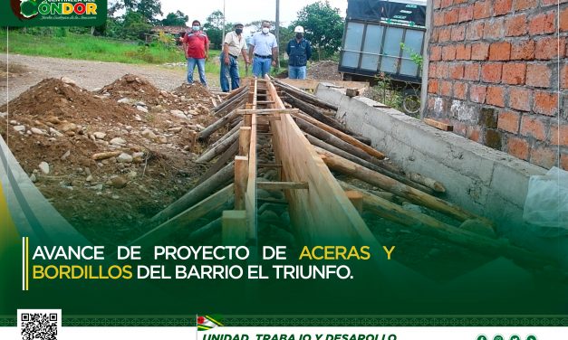 AVANCE DE PROYECTO DE ACERAS Y BORDILLOS DEL BARRIO EL TRIUNFO