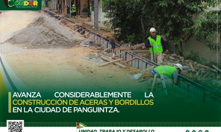AVANZA CONSIDERABLEMENTE LA CONSTRUCCIÓN DE ACERAS Y BORDILLOS EN LA CIUDAD DE PANGUINTZA.