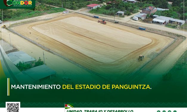 MANTENIMIENTO DEL ESTADIO DE PANGUINTZA.