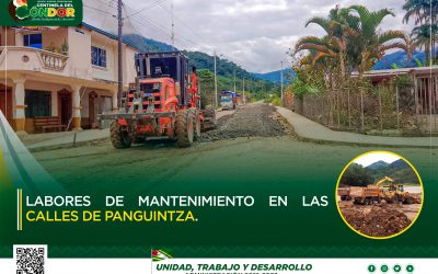 LABORES DE MANTENIMIENTO EN LAS CALLES DE PANGUINTZA.